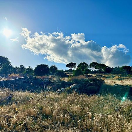 Casa Rural, “El Andador” El Hoyo de Pinares ภายนอก รูปภาพ