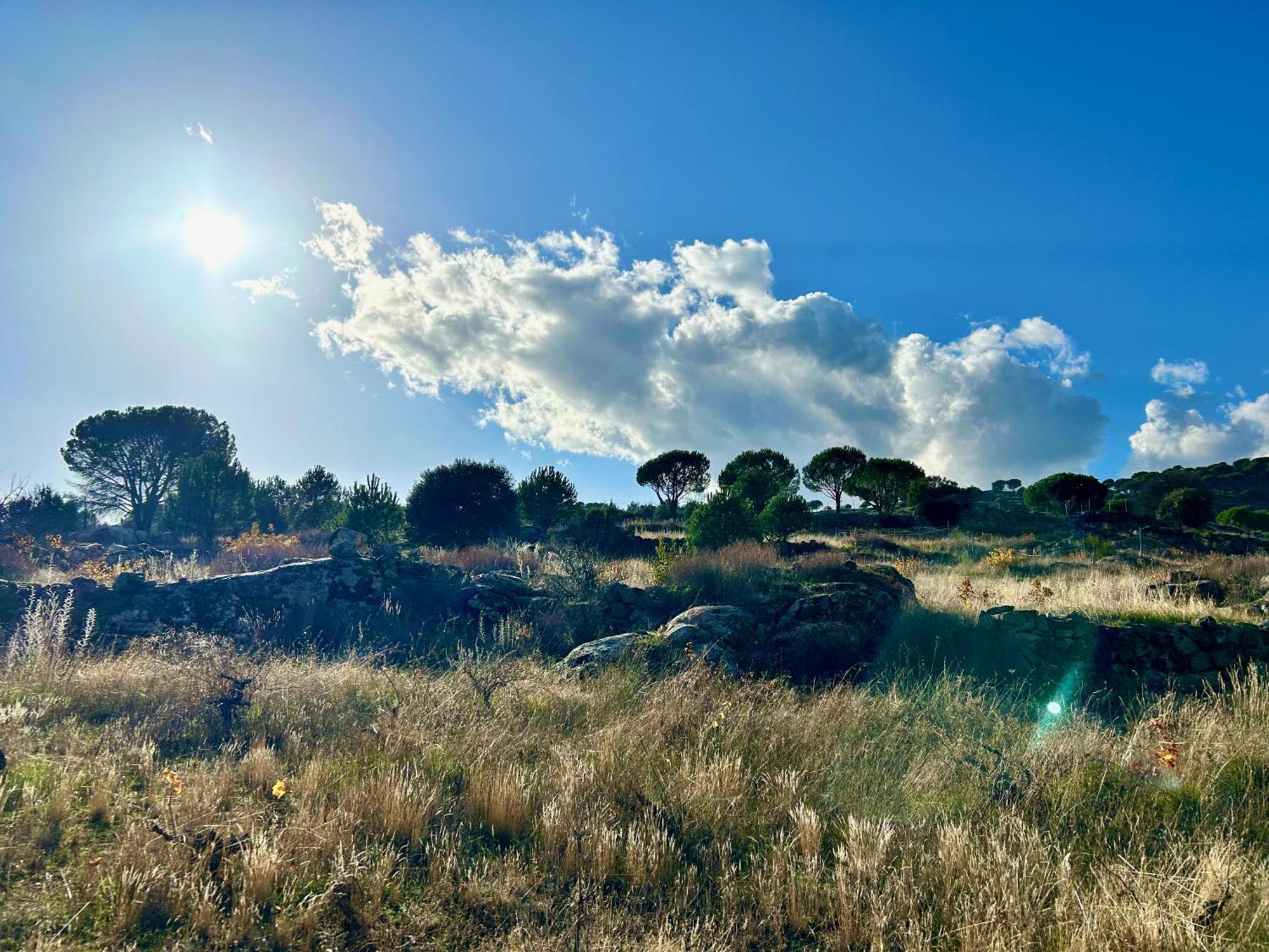Casa Rural, “El Andador” El Hoyo de Pinares ภายนอก รูปภาพ