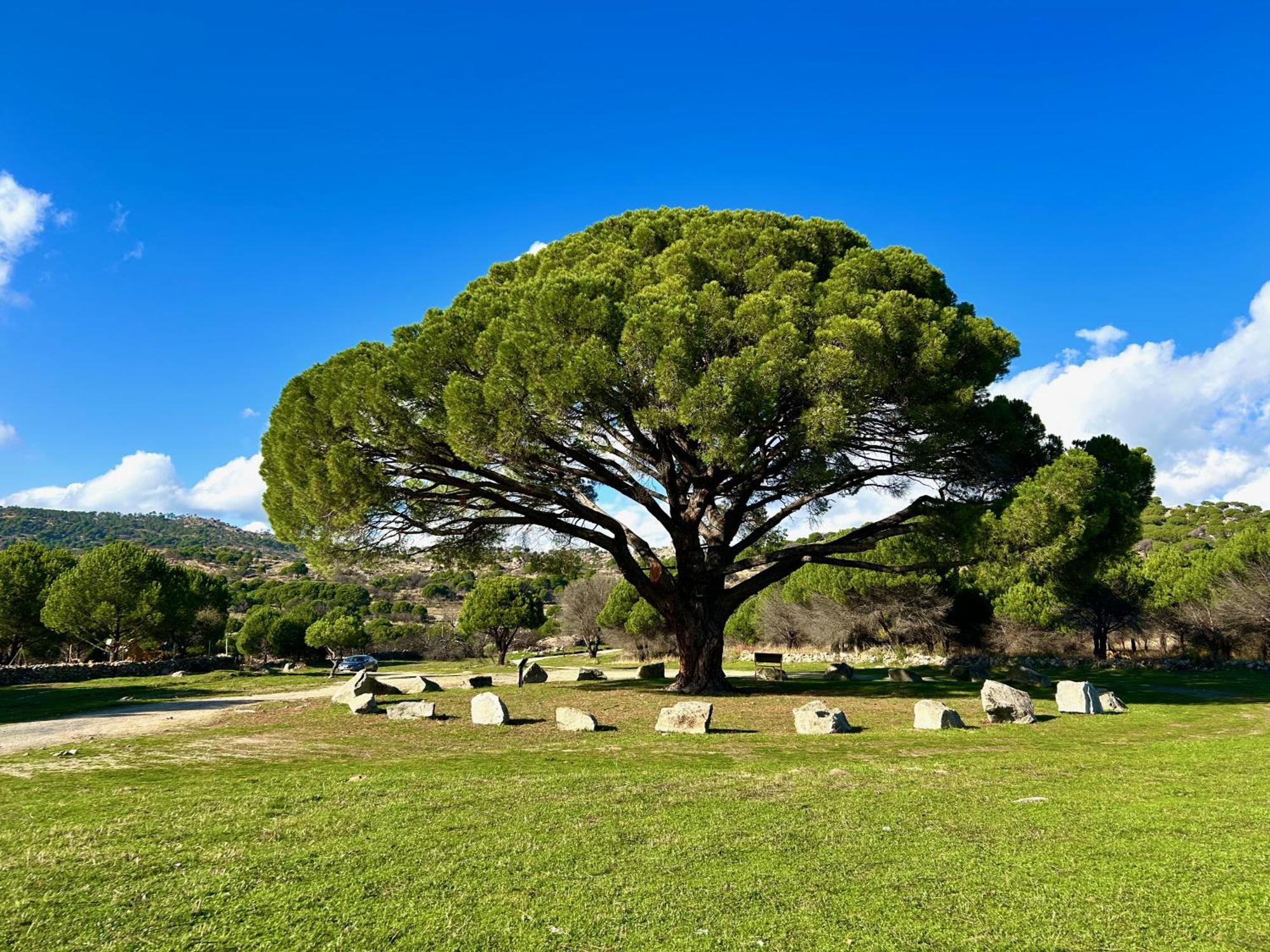Casa Rural, “El Andador” El Hoyo de Pinares ภายนอก รูปภาพ